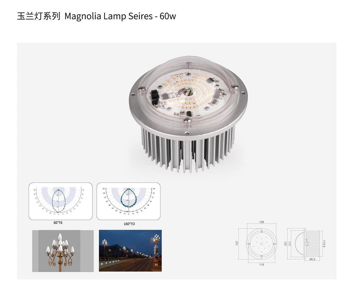 СВЕТОДИОДНЫЙ МОДУЛЬ Лампа Magnolia Seires -60w1